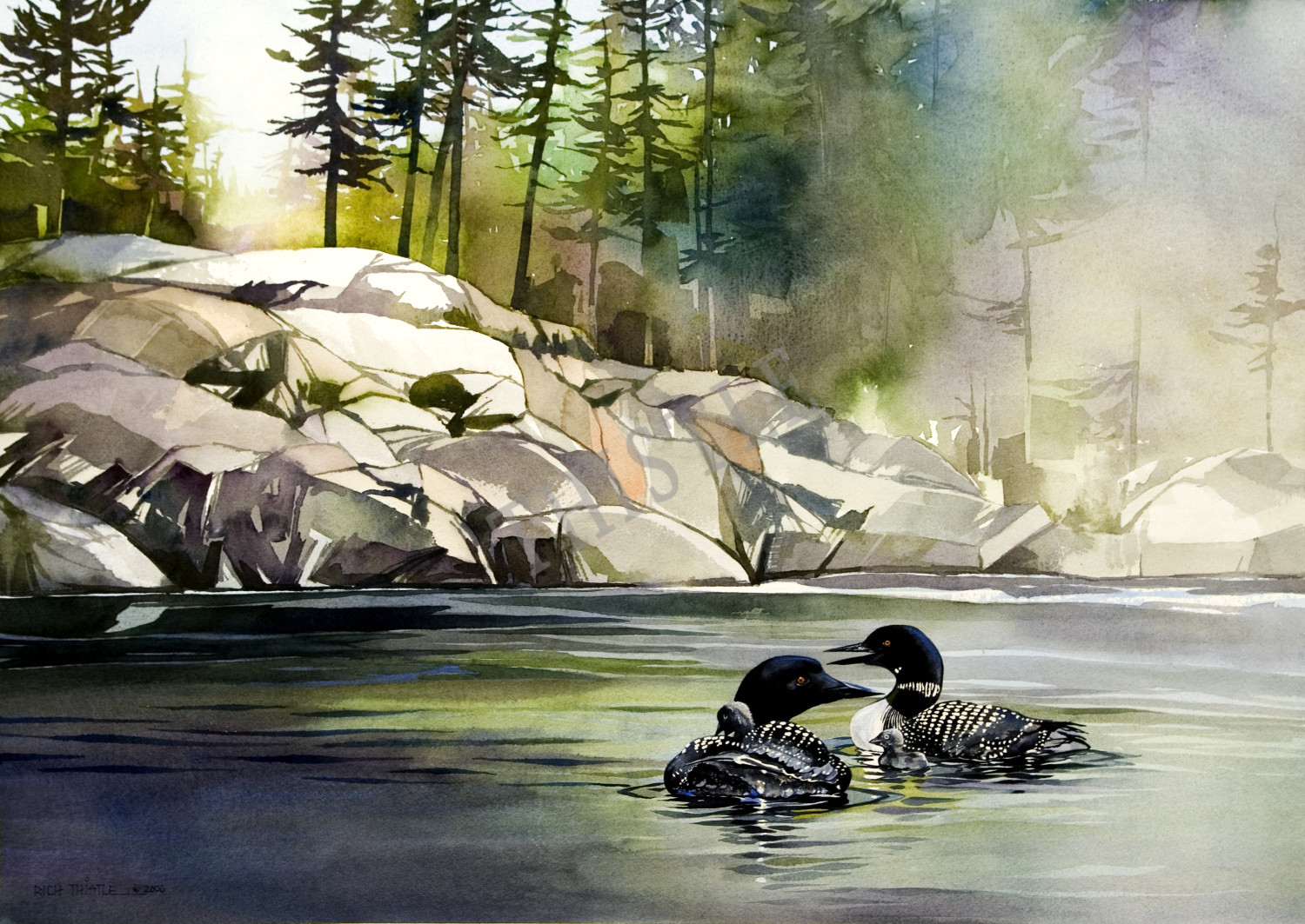 LOONS AT DAWN By Rich Thistle©