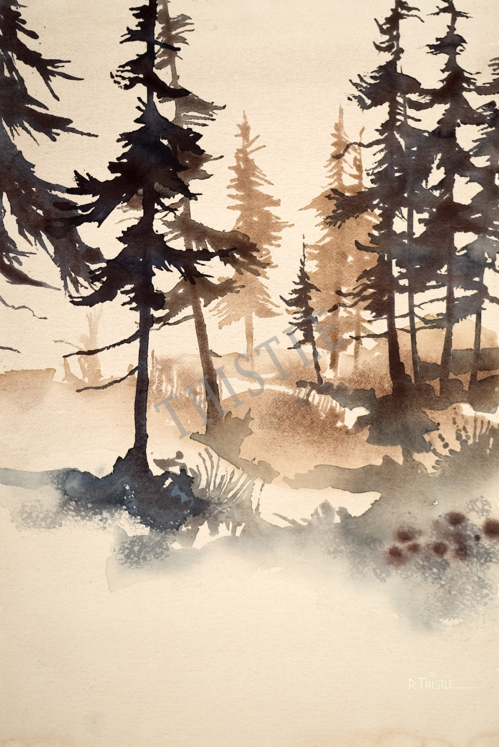 MIST RISING By Rich Thistle© 