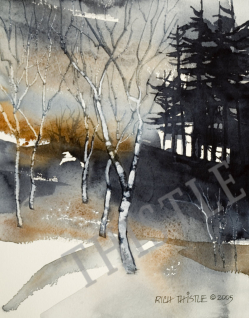 Birches in Winter