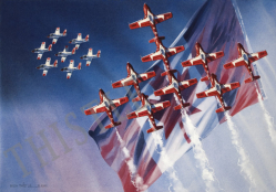 Flying the Flag