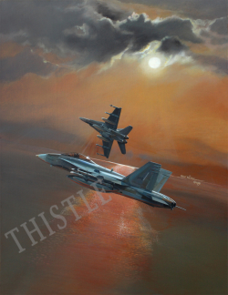 Hornets Over The Gulf