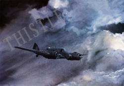 406 Night Prowler
