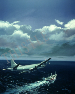 Pursuit of the Luciana