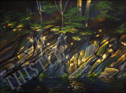 Rock Roots & Sunlight