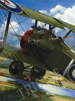 Stalking the Eagle