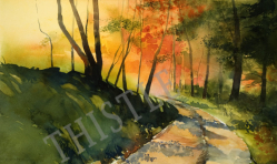 Sun-Dappled Road